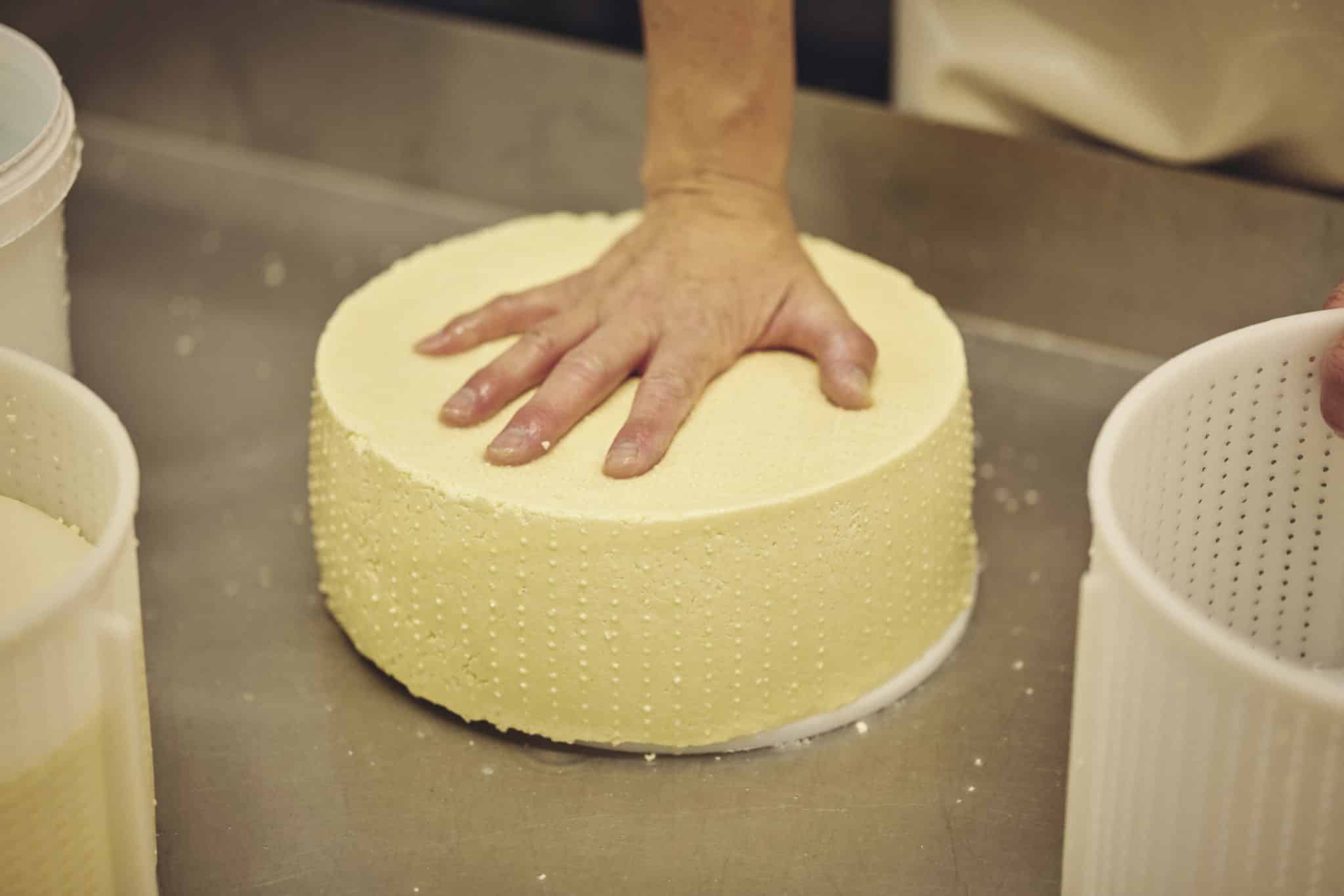 Käsemeisterin drückt in einem Käse ihre Hand rein, um die Konsistenz zu zeigen.