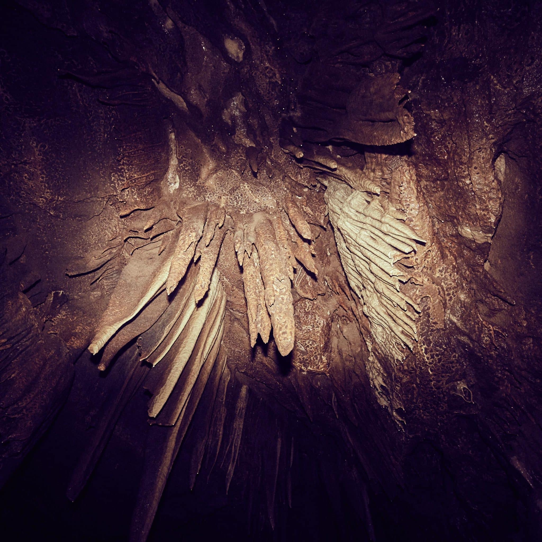 Tropfsteine in der Höhle. Seit tausenden von Jahren unberührt.